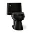 One-Piece Elongated Toilet w/ Concealed Trapway, 1.28 Gpf (Black/Black), K-3619-7