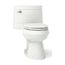 One-Piece Elongated Toilet w/ Concealed Trapway, 1.28 Gpf (Dune), K-3619-NY