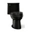 One-Piece Elongated Toilet, 1.28 Gpf (Black/Black), K-3946-7
