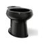 Elongated Toilet Bowl (Black/Black), K-4198-7