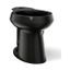 Elongated Toilet Bowl (Black/Black), K-4373-7