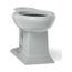 Elongated Toilet Bowl (Ice Grey), K-4380-95