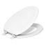 Stonewood Elongated Toilet Seat (Honed White), K-4647-HW1