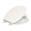 Quick-Release Round-Front Toilet Seat (Biscuit), K-4662-96