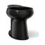 Round-Front Toilet Bowl (Black/Black), K-5393-7