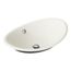 Iron Plains 20-3/4" Oval Vessel Bathroom Sink (Biscuit), K-5403-B-96