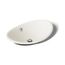 20-3/4" Oval Vessel Bathroom Sink (Biscuit), K-5403-P5-96