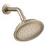 Artifacts Single-Function Showerhead, 1.75 Gpm (Vibrant Brushed Bronze), K-72774-G-BV