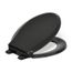 Nightlight Readylatch Quiet-Close Round-Front Toilet Seat (Black/Black), K-75758-RL-7