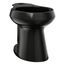 Highline Elongated Toilet Bowl w/ Concealed Trapway (Black), K-80020-7