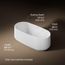 Ceric 60" x 29" Oval Freestanding Bathtub with Center Toe-Tap Drain (White)