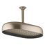 Statement Oblong 14" Single-Function Rainhead, 2.5 Gpm (Vibrant Brushed Bronze), K-26294-BV