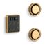 Tandem Steam Generator Control Kit (Vibrant Brushed Moderne Brass), K-5558-2MB