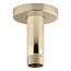 Statement 3" Ceiling-Mount Single-Function Rainhead Arm And Flange (Vibrant French Gold), K-26319-AF