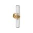 Occasion Two-Light Sconce (Brushed Moderne Brass), K-31777-SC02-2GL