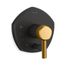 Rite-Temp Valve Trim w/ Push-Button Diverter And Lever Handle (Matte Black w/ Brushed Moderne Brass)