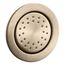 Watertile Round 27-Nozzle Single-Function Body Spray, 1.0 Gpm (Vibrant Brushed Bronze), K-77119-BV