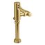 Mach Tripoint Touchless Toilet Flushometer, Dc-Powered, 1.0 Gpf (Vibrant Brushed Moderne Brass), K-10TD00K10-2MB