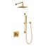 Honesty Showering Kit, 2.5 Gpm (Vibrant Brushed Moderne Brass), K-26273-Y-2MB