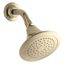 Forte Single-Function Katalyst Showerhead (Vibrant French Gold), K-10282-AK-AF