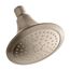 Forte Single-Function Katalyst Showerhead (Vibrant Brushed Bronze), K-10282-AK-BV