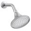 Single-Function Showerhead, 2.5 GPM (Polished Chrome), K-10282-AK-CP