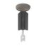 Standard Plunger Assembly, K-1037021-BN