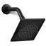 Loure 1-Function Shower Head, 2.5 GPM (Matte Black), K-14786-BL