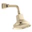 Margaux Single-Function Katalyst Showerhead (Vibrant French Gold), K-16244-AK-AF