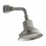 Margaux 1-function Katalyst Shower Head (Vibrant Brushed Nickel), K-16244-AK-BN