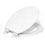 Ridgewood Quiet-close Round-front Toilet Seat (White), K-20455-0