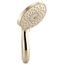 Forte Multifunction Handshower 2.5 GPM (Vibrant French Gold), K-22165-AF