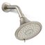 Forté 3-Function Shower Head, 2.5 GPM (Vibrant Brushed Nickel), K-22169-BN