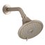 Fortemulti-Function Showerhead 1.75 GPM (Vibrant Brushed Bronze), K-22169-G-BV