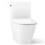 Brazn One-piece Compact Elongated Toilet w/ Skirted Trapway, Dual-flush (White), K-22378-0