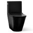 Brazn One-piece Compact Elongated Toilet w/ Skirted Trapway, Dual-flush (Honed Black), K-22378-HB1