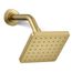 Parallel 1-Function Shower Head, 2.5 GPM (Vibrant Brushed Moderne Brass), K-24805-2MB