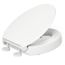 Hyten Elevated Quiet-close Elongated Toilet Seat (White), K-25875-0