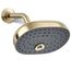 Statement 3-Function Shower Head, 2.5 GPM (Vibrant French Gold), K-26290-AF