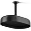 Statement Oblong 12" 1-Function Rainhead, 1.75 GPM (Matte Black), K-26293-G-BL