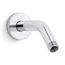 Statement Shower Arm And Flange (Polished Chrome), K-26318-CP