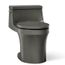 San Souci One-piece Round-front Toilet, 1.28 GPF (Thunder Grey)