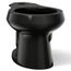 Wellworth Round-front Toilet Bowl (Black), K-4197-7