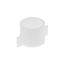 Supply Nut, K-42397