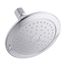 Alteo Single Function Showerhead (Polished Chrome), K-45123-CP