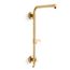 HydroRail-R Beam Shower Column (Vibrant Brushed Moderne Brass), K-45212-2MB