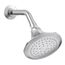 Single-Function Showerhead, 2.5 GPM (Polished Chrome), K-457-AK-CP