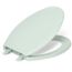 Lustra Quick-release Elongated Toilet Seat (Seafoam Green), K-4652-71
