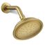 Artifacts 1-Function Shower Head, 2.5 GPM (Vibrant Brushed Moderne Brass), K-72773-2MB
