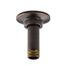 Shower Arm/3 Ceiling Mount (Oil-Rubbed Bronze), K-7396-2BZ